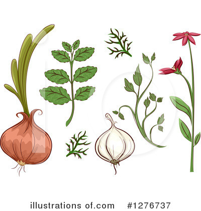 Royalty-Free (RF) Herb Clipart Illustration by BNP Design Studio - Stock Sample #1276737