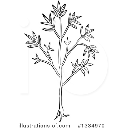 Royalty-Free (RF) Herb Clipart Illustration by Picsburg - Stock Sample #1334970