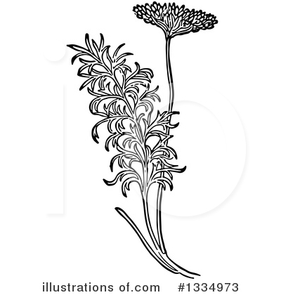 Fennel Clipart #1334973 by Picsburg