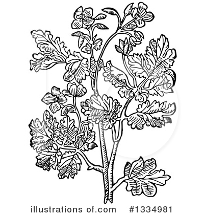 Herb Clipart #1334981 by Picsburg