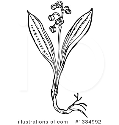 Royalty-Free (RF) Herb Clipart Illustration by Picsburg - Stock Sample #1334992