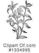 Herb Clipart #1334995 by Picsburg