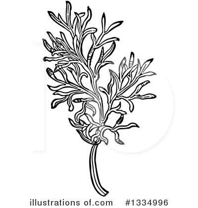 Royalty-Free (RF) Herb Clipart Illustration by Picsburg - Stock Sample #1334996