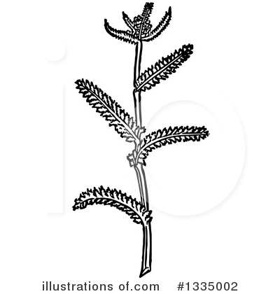Royalty-Free (RF) Herb Clipart Illustration by Picsburg - Stock Sample #1335002