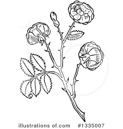 Flowers Clipart #1335007 by Picsburg