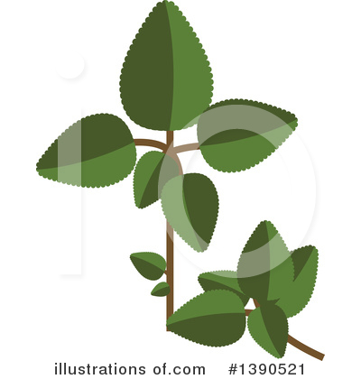 Herbs Clipart #1390521 by Vector Tradition SM