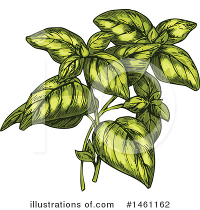 Royalty-Free (RF) Herb Clipart Illustration by Vector Tradition SM - Stock Sample #1461162