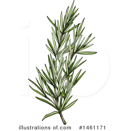 Royalty-Free (RF) Herb Clipart Illustration by Vector Tradition SM - Stock Sample #1461171
