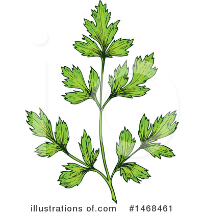 Royalty-Free (RF) Herb Clipart Illustration by Vector Tradition SM - Stock Sample #1468461