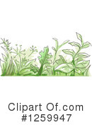 Herbs Clipart #1259947 by BNP Design Studio