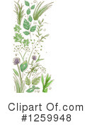 Herbs Clipart #1259948 by BNP Design Studio
