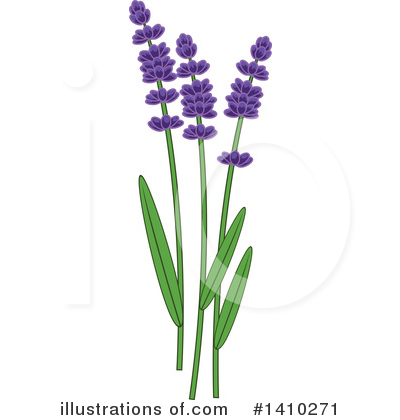 Royalty-Free (RF) Herbs Clipart Illustration by Vector Tradition SM - Stock Sample #1410271
