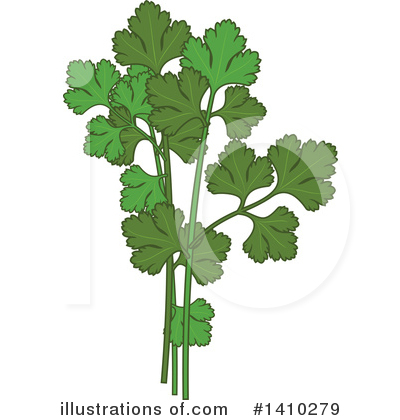 Royalty-Free (RF) Herbs Clipart Illustration by Vector Tradition SM - Stock Sample #1410279