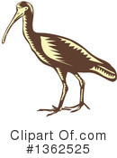Heron Clipart #1362525 by patrimonio