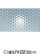 Hexagon Clipart #1742236 by AtStockIllustration