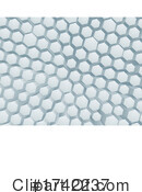 Hexagon Clipart #1742237 by AtStockIllustration