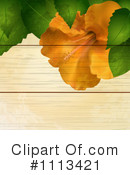 Hibiscus Clipart #1113421 by elaineitalia