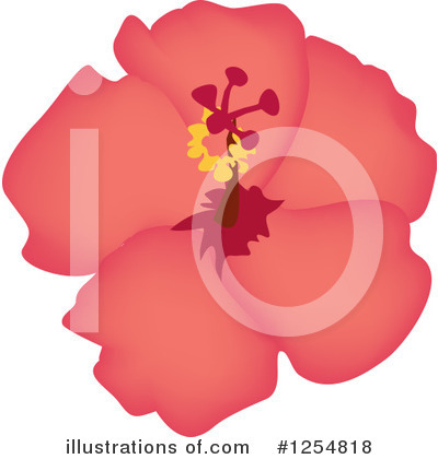 Royalty-Free (RF) Hibiscus Clipart Illustration by Amanda Kate - Stock Sample #1254818