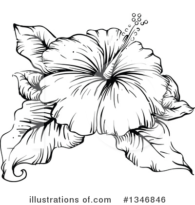 Royalty-Free (RF) Hibiscus Clipart Illustration by BNP Design Studio - Stock Sample #1346846