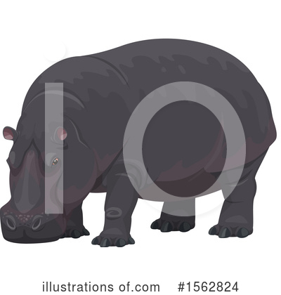 Hippopotamus Clipart #1562824 by Vector Tradition SM
