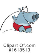 Hippo Clipart #1618513 by toonaday