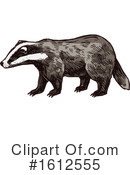 Honey Badger Clipart #1612555 by Vector Tradition SM
