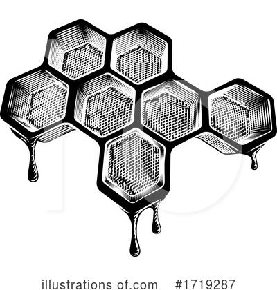 Hexagon Clipart #1719287 by AtStockIllustration