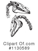 Horse Anatomy Clipart #1130589 by Picsburg