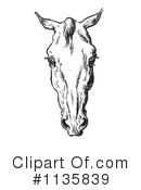 Horse Anatomy Clipart #1135839 by Picsburg