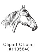 Horse Anatomy Clipart #1135840 by Picsburg