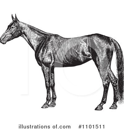 Royalty-Free (RF) Horse Clipart Illustration by BestVector - Stock Sample #1101511
