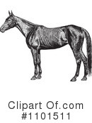 Horse Clipart #1101511 by BestVector