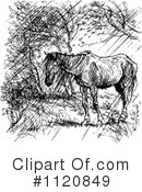 Horse Clipart #1120849 by Prawny Vintage
