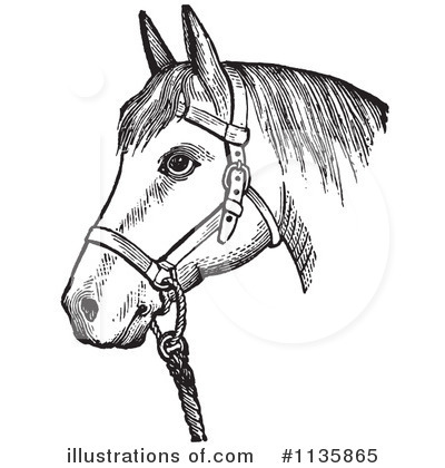Royalty-Free (RF) Horse Clipart Illustration by Picsburg - Stock Sample #1135865