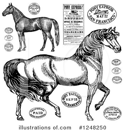 Royalty-Free (RF) Horse Clipart Illustration by BestVector - Stock Sample #1248250