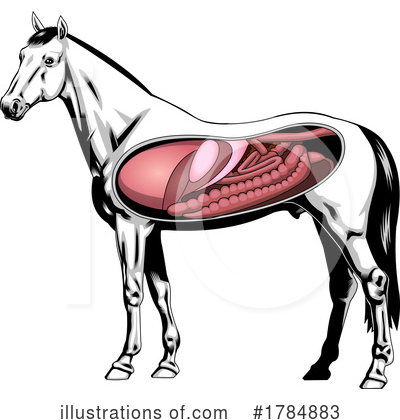 Royalty-Free (RF) Horse Clipart Illustration by Hit Toon - Stock Sample #1784883