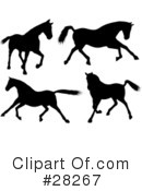 Horse Clipart #28267 by KJ Pargeter