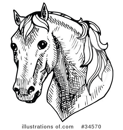 Royalty-Free (RF) Horse Clipart Illustration by C Charley-Franzwa - Stock Sample #34570