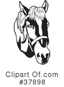 Horse Clipart #37898 by David Rey