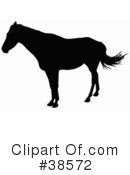 Horse Clipart #38572 by dero