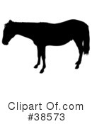 Horse Clipart #38573 by dero