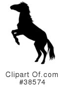Horse Clipart #38574 by dero