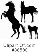 Horse Clipart #38580 by dero