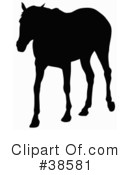 Horse Clipart #38581 by dero
