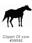 Horse Clipart #38582 by dero