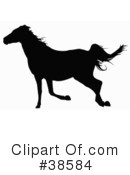Horse Clipart #38584 by dero