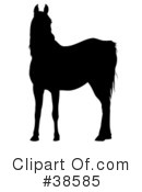 Horse Clipart #38585 by dero