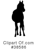 Horse Clipart #38586 by dero
