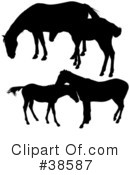 Horse Clipart #38587 by dero