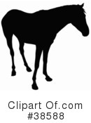 Horse Clipart #38588 by dero